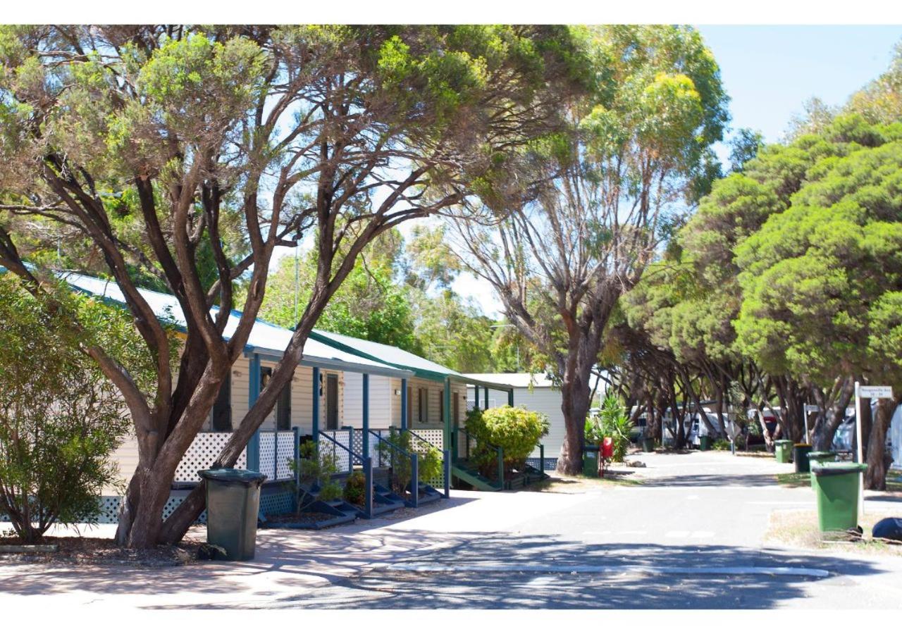 Discovery Parks - Coogee Beach Exterior foto